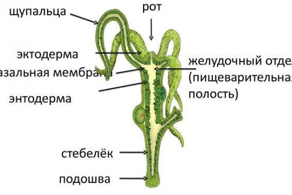 Как подключиться к даркнету