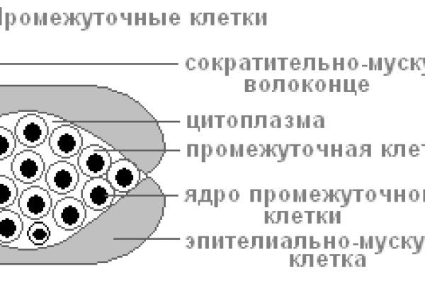 Где найти ссылку кракен