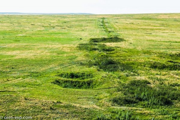 Мега кракен