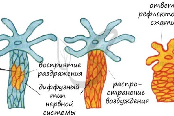 Кракен лег