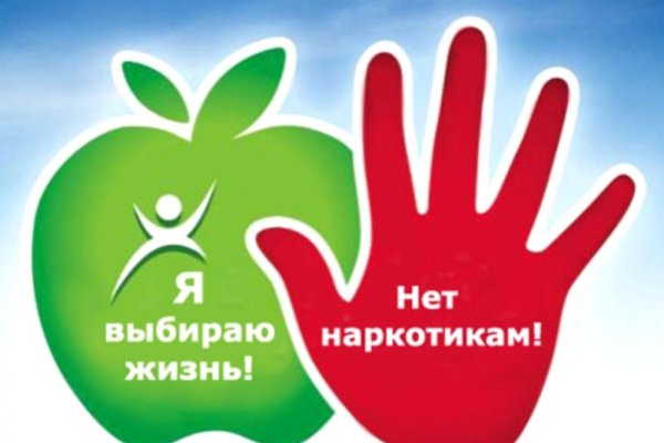 Кракен мониторинг ссылок kraken torion