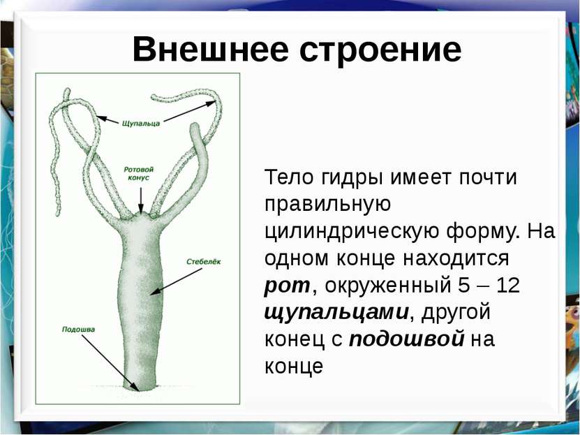 Кракен маркетплейс что